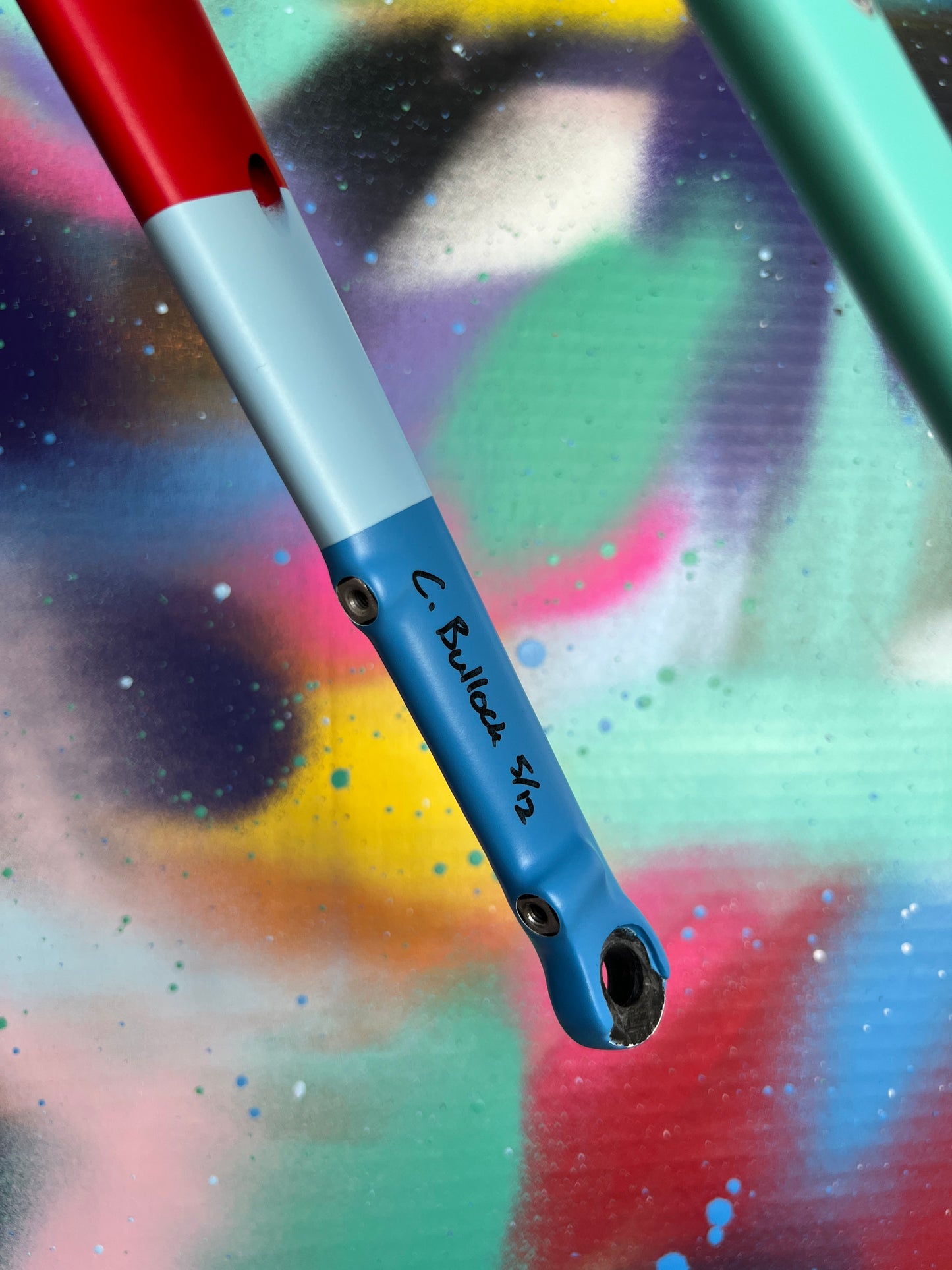 Custom Painted Carbon Gravel / Adventure Fork - Party Fork #05