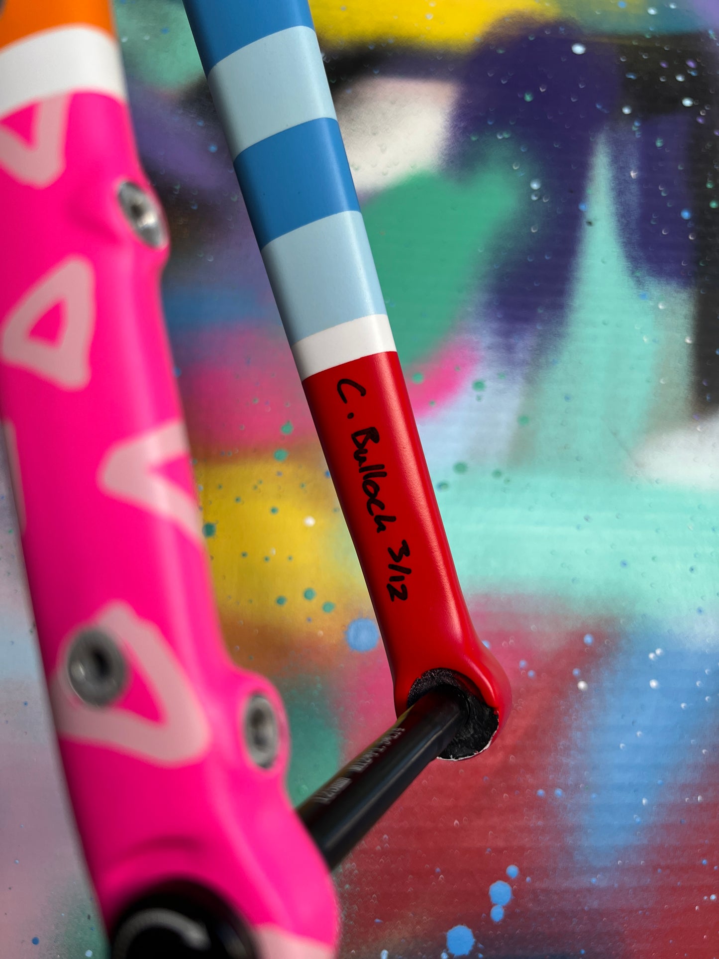 Custom Painted Carbon Gravel / Adventure Fork - Party Fork #03