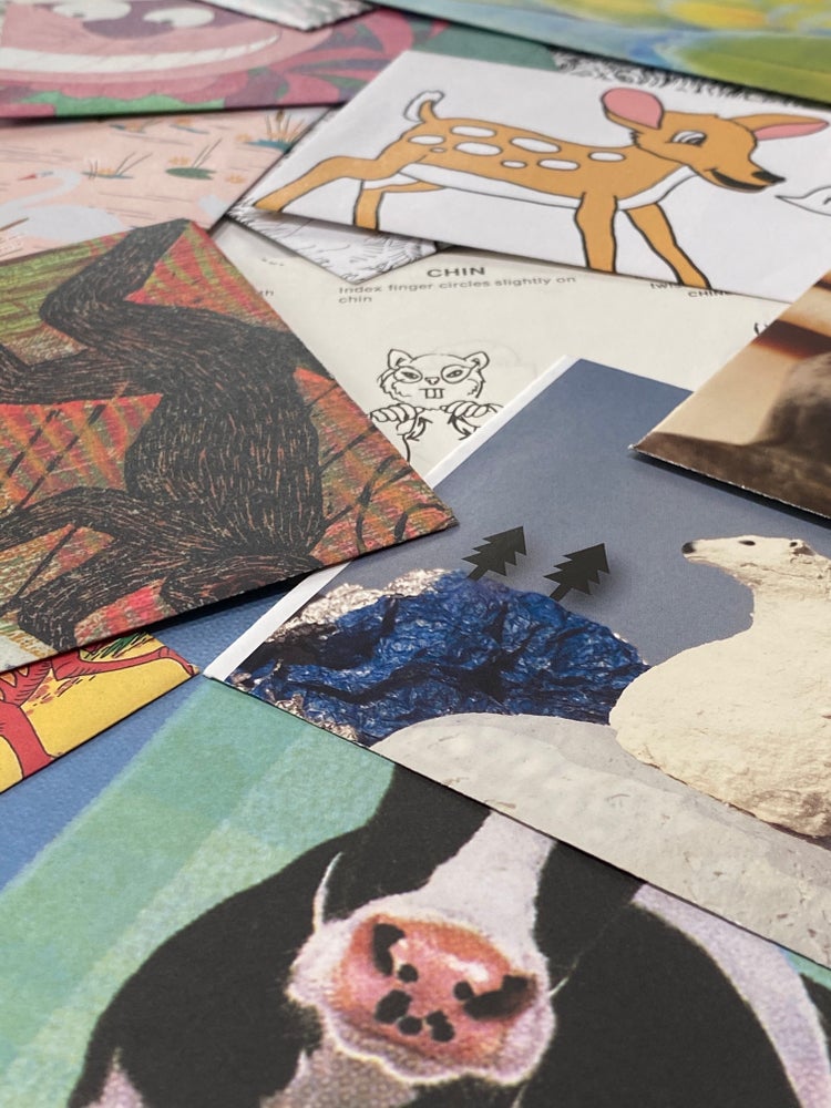 Animal Style Notes: 5 Pack