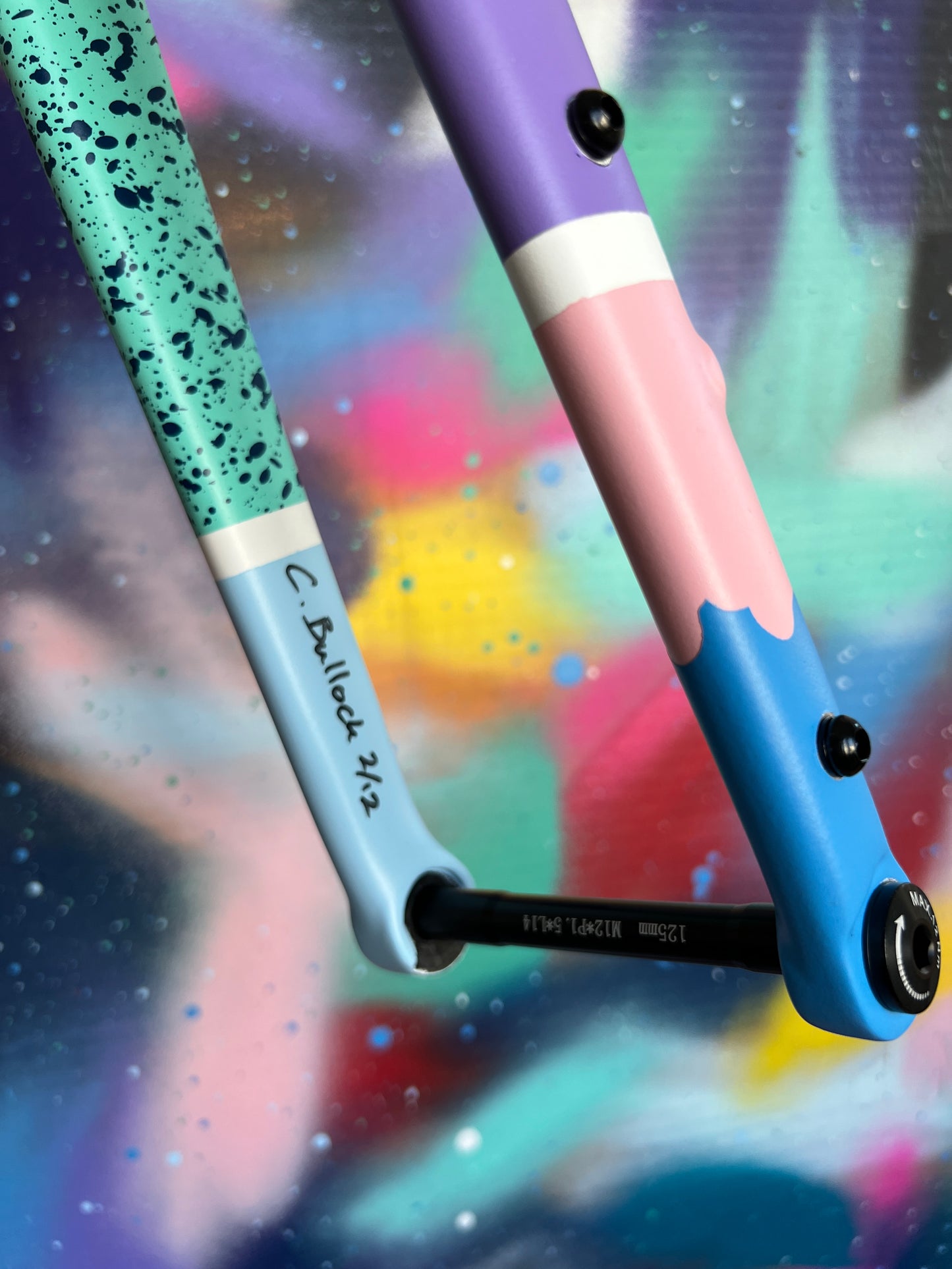 Custom Painted Carbon Gravel / Adventure Fork - Party Fork #02