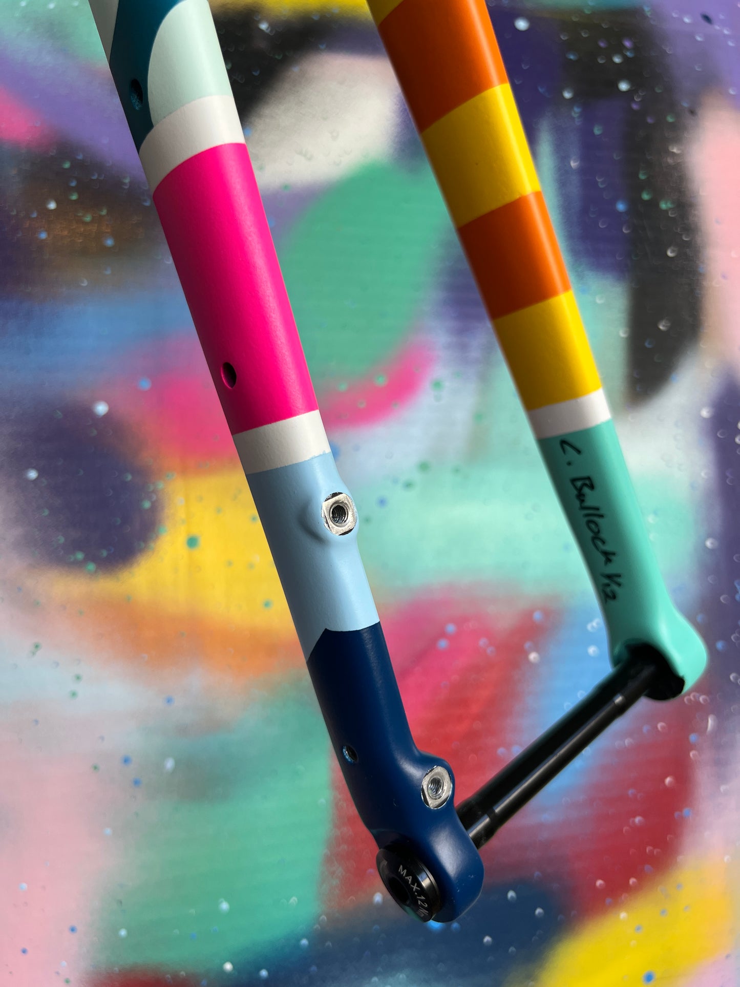 Custom Painted Carbon Gravel / Adventure Fork - Party Fork #01