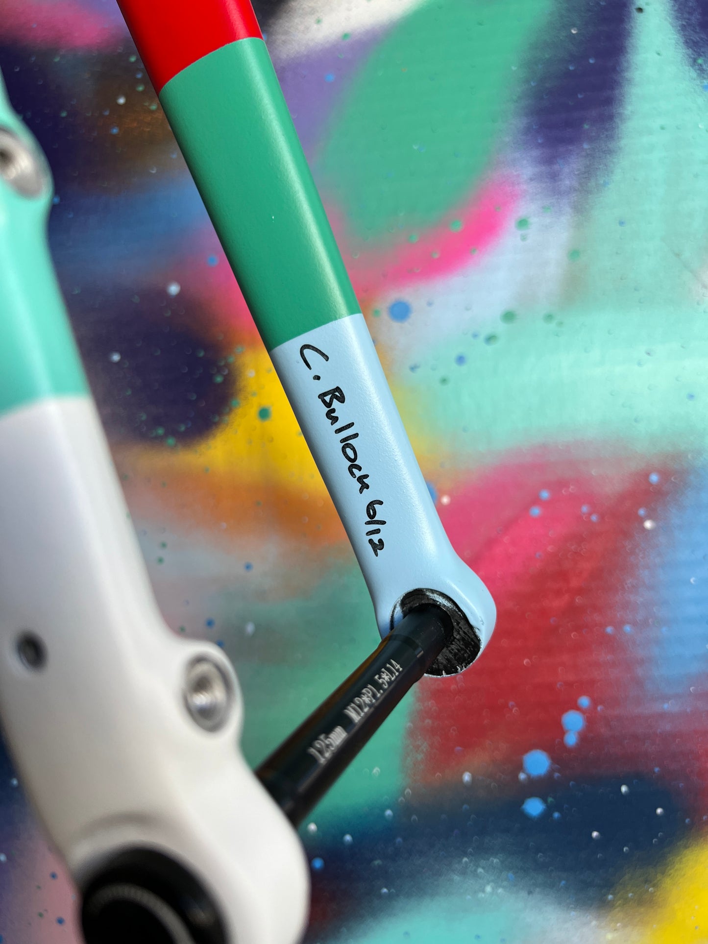 Custom Painted Carbon Gravel / Adventure Fork - Party Fork #06